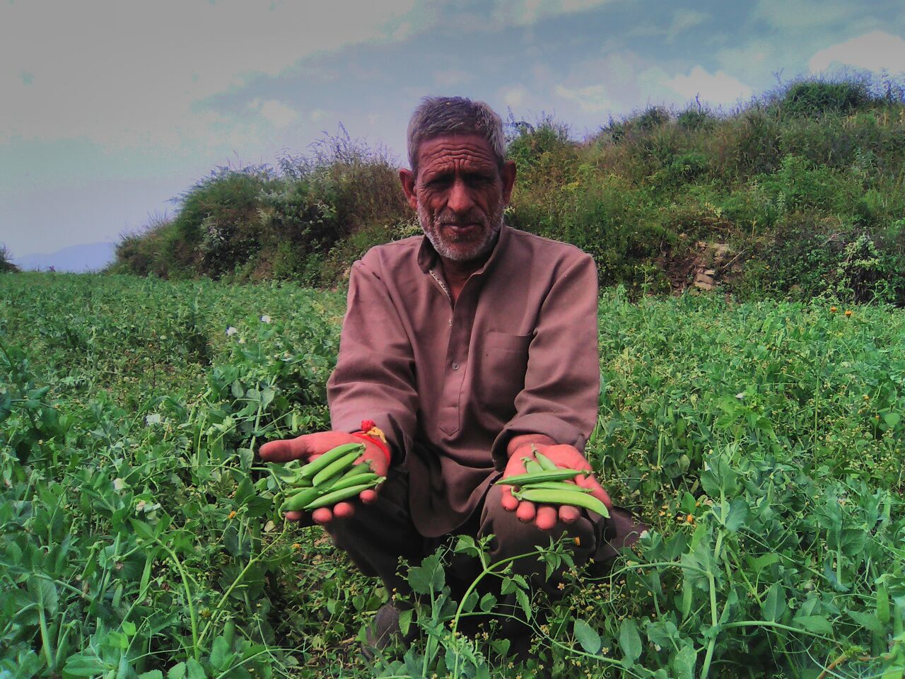 Farmers working in sustainable agriculture