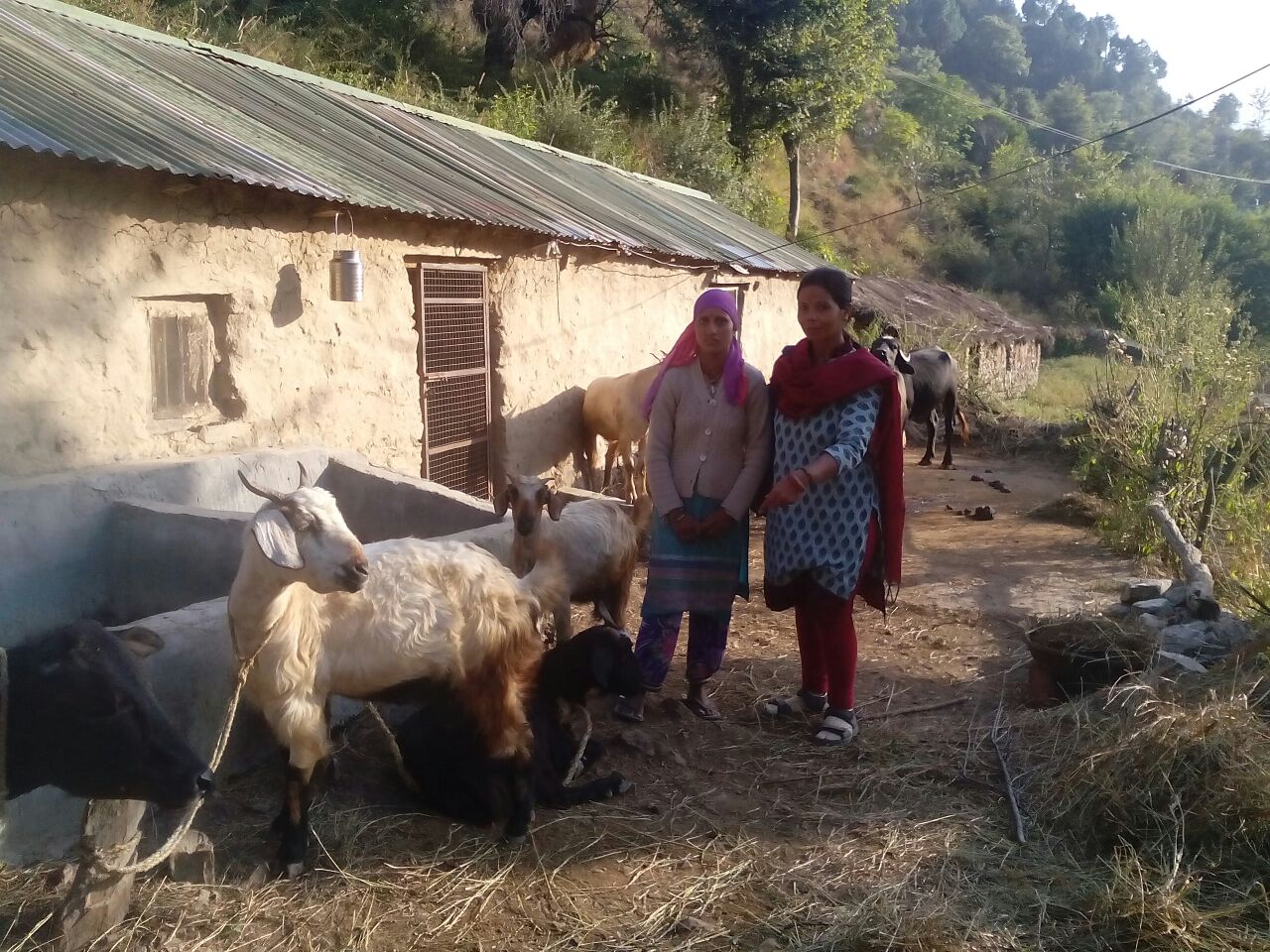 Community participation