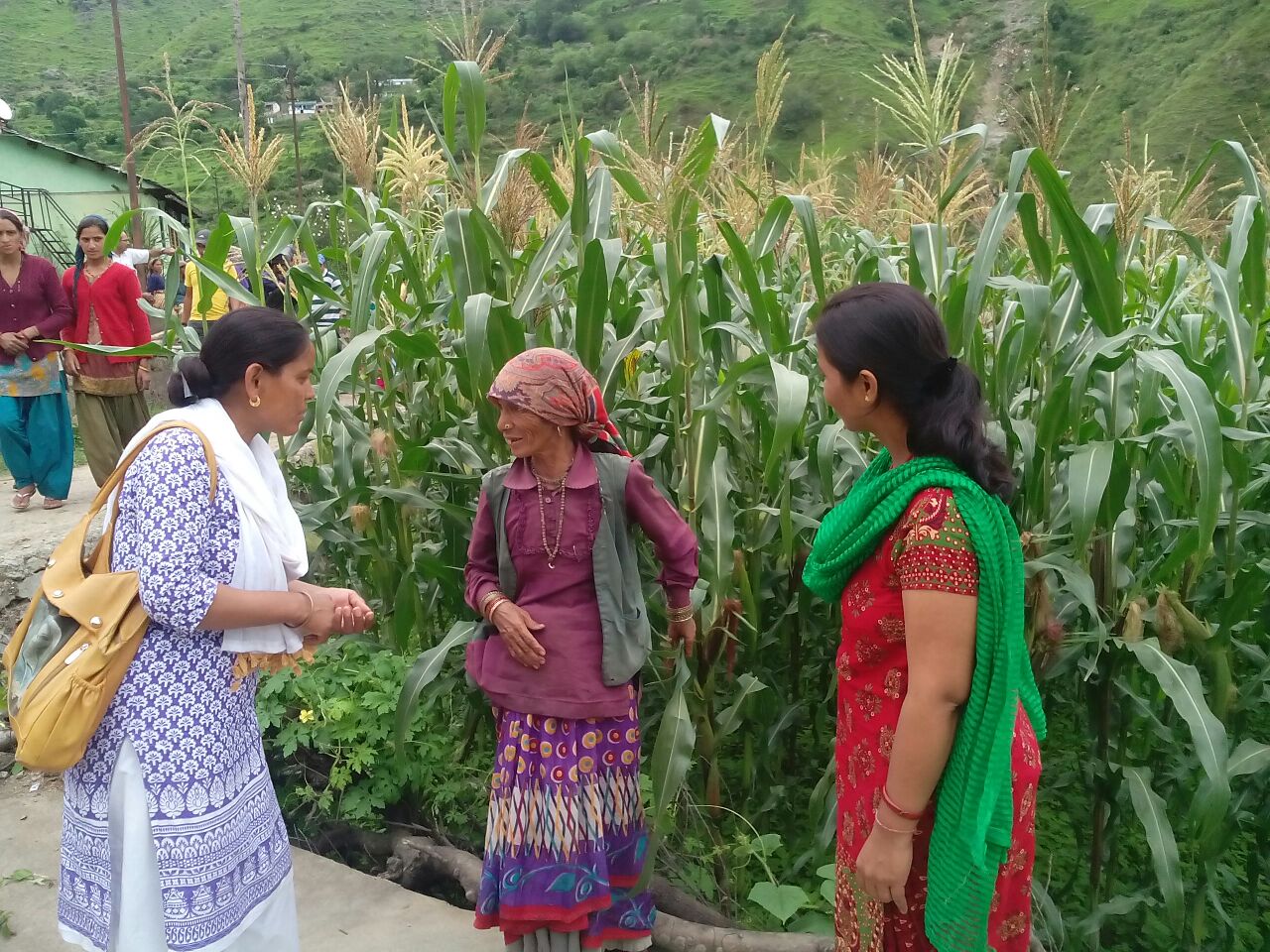 Women participation