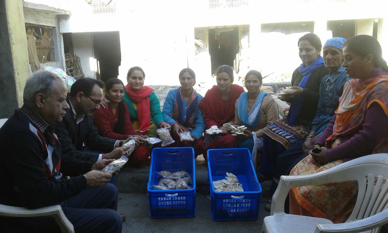 Skill development and livelihood training