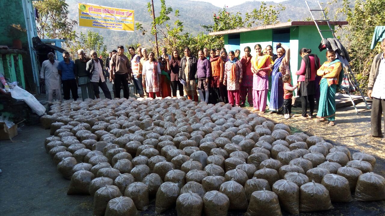 Livelihood training