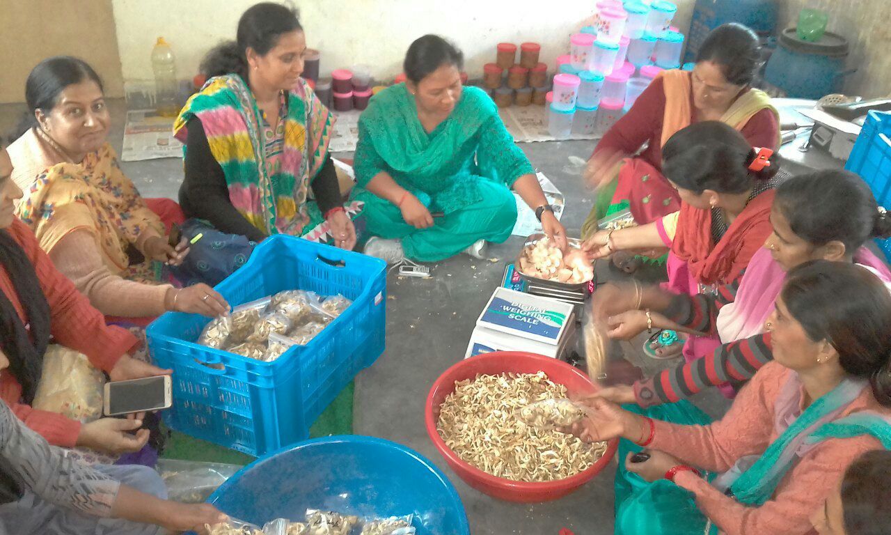 Rural livelihood opportunity