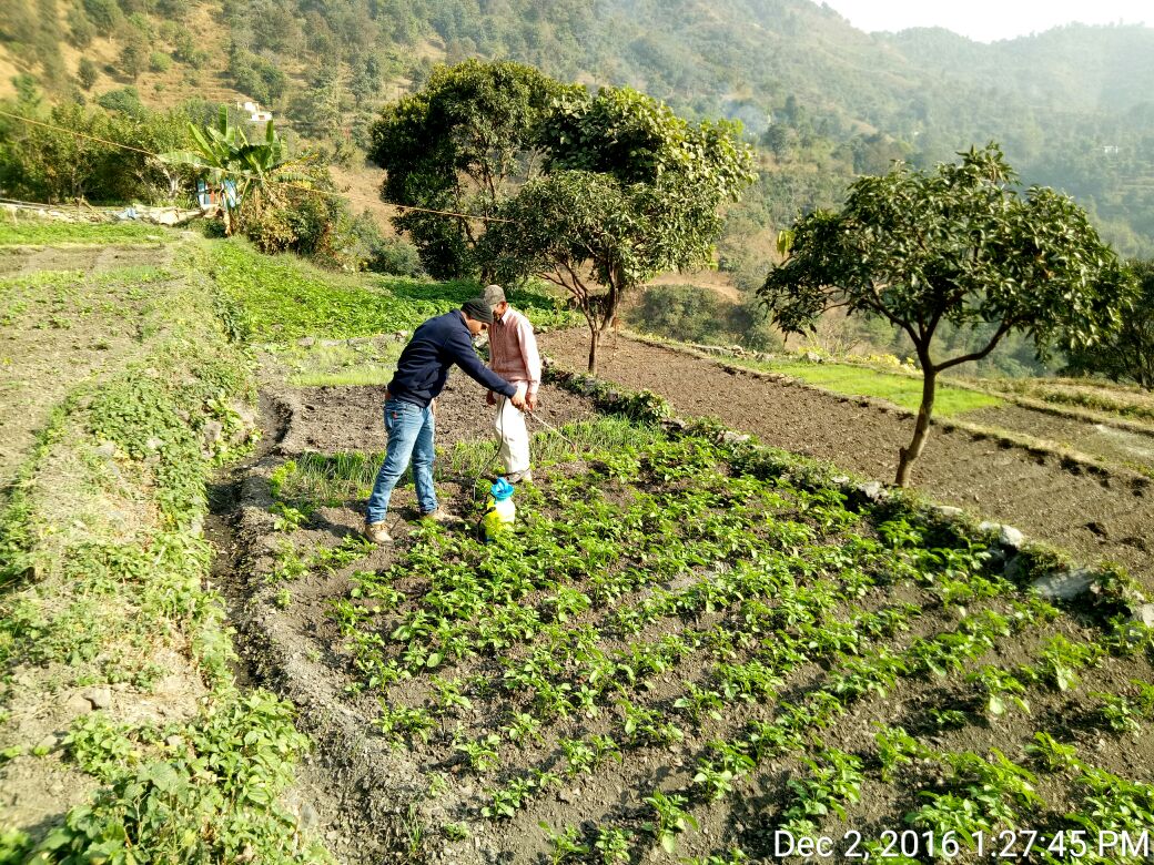 Watershed development