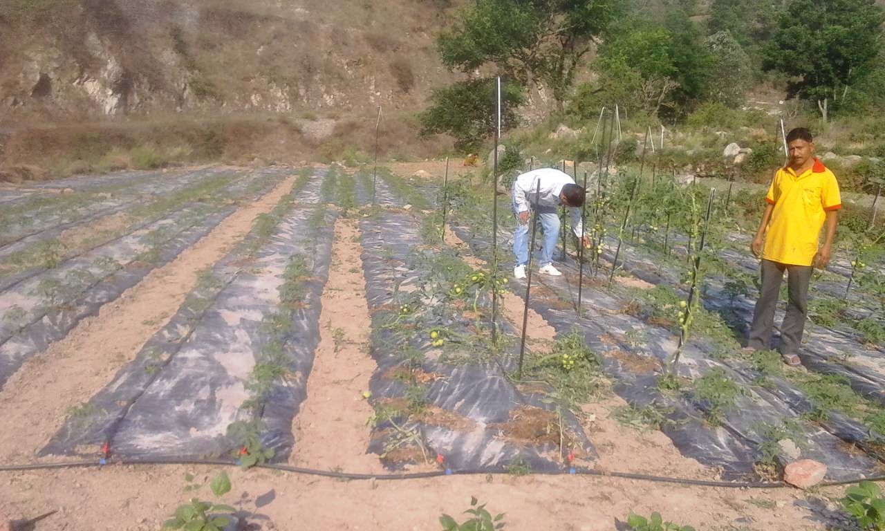 Community participation