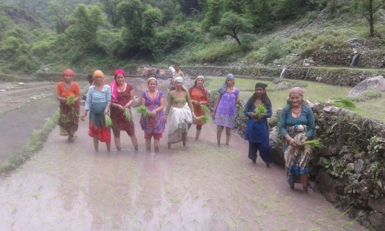Sustainable agriculture