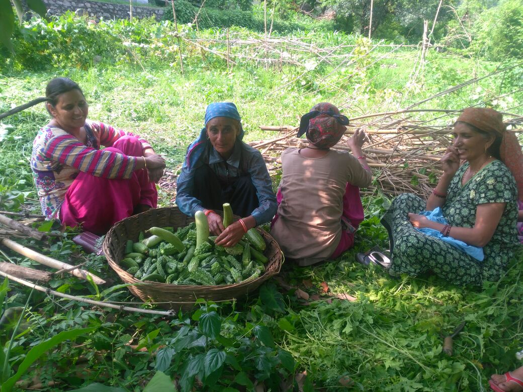 Women participating in community activities