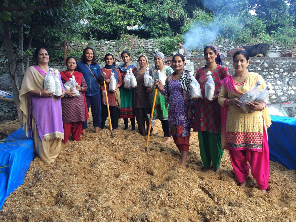 Women working together